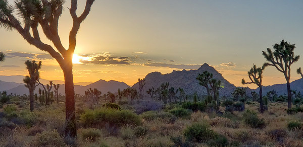 Boy Scout Trail area